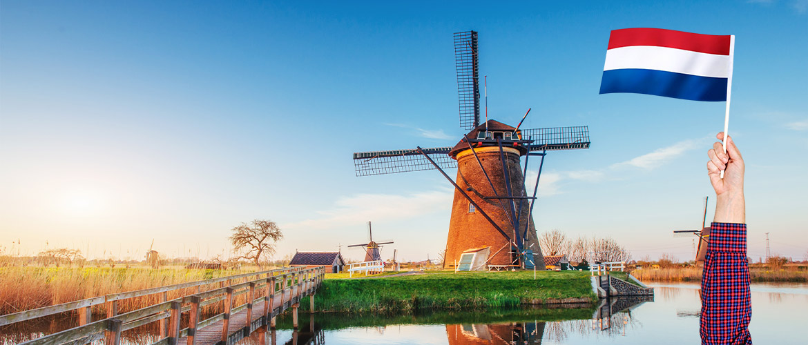 Study in Netherlands